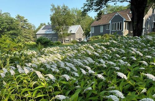 Nelson Maison | Charming country guest house with 1 bedroom and loft, WiFi, AC in lovely Nelson