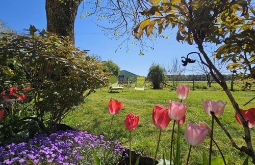 Paulmy Cottage | Évasion paisible en Touraine, gîte authentique avec jardin clos, proche forêt, idéal famille et amis
