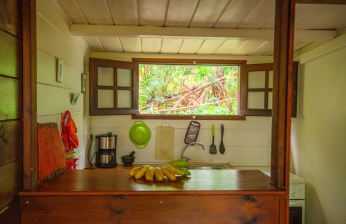Maniron Maison | Bungalow de charme HIBISCUS en bois exotique, piscine dans un jardin tropical.