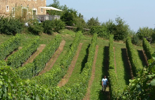 Lucq-de-Bearn Maison | Maison de famille de Charme - Ferme béarnaise du 18ème restaurée