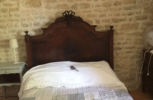 Cherbonnieres Autre | Charming French farmhouse with pool, totally private and ideal for large groups