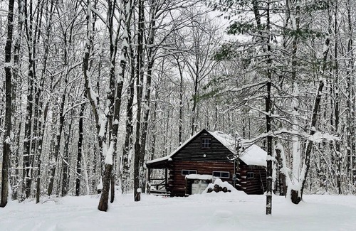 Cooperstown Cabine | Charming Full Bed & 2 Twin Bed cabin w/AC, Heat, WiFi in lovely Cooperstown,