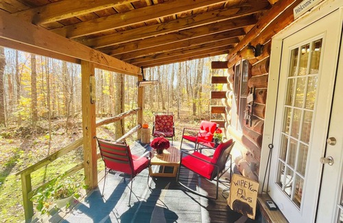 Cooperstown Cabine | Charming Full Bed & 2 Twin Bed cabin w/AC, Heat, WiFi in lovely Cooperstown,
