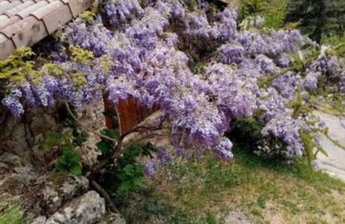 Burzet Appartement | Charmant gîte studio en Ardèche verte