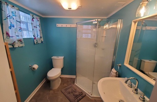 Homewood Appartement | Charming Garden Apartment in Quaint, Walkable Homewood