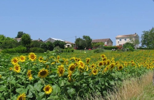 Chatenet Maison | Charming Gite 3* + pool + tasting room. Beautiful views down the Seugne Valley.