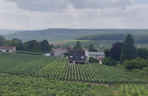 Champillon Maison | Charming House in the Heart of Champagne Vineyards