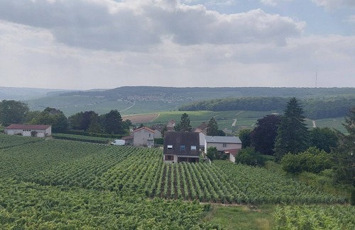 Champillon Maison | Charming House in the Heart of Champagne Vineyards