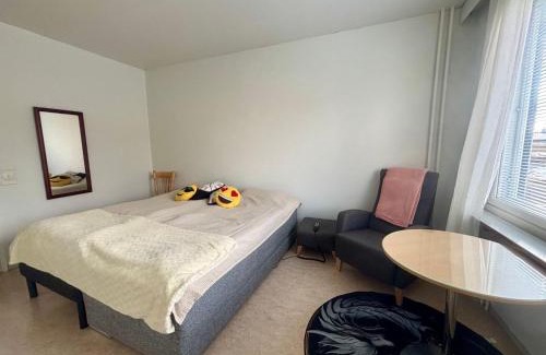 Kemi Appartement | Charming Kemi Apartment with Sauna department Free Parking