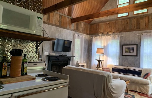 Wiley Cabine | Charmant chalet de montagne et quai communautaire avec accès au lac Burton!