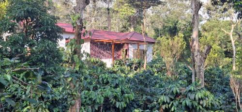 Bittangala Maison | Charming Nest