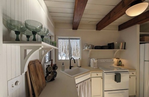 Flat Hollow Marina Cabine | Charming Norris Lake Cabin with views and boat slip @ Marina!