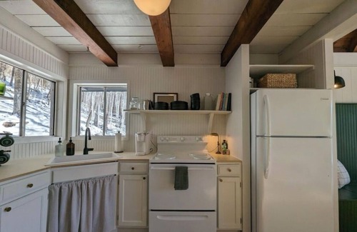 Flat Hollow Marina Cabine | Charming Norris Lake Cabin with views and boat slip @ Marina!
