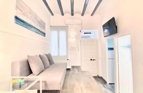 Las Acacias Appartement | Charming Paseo de los Olmos