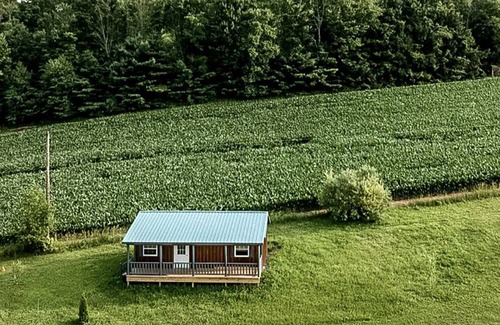 Ringtown Cabine | Charming Pet-Friendly Log Cabin Rental for Relaxing Getaways in Ringtown, Pennsylvania