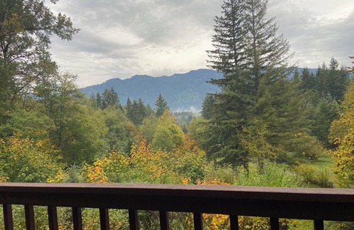 Randle Cabine | Charming private 3-bedroom cabin with WiFi, AC and Hot Tub in quaint Randle.