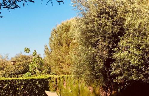 Mairena del Aljarafe Maison | Charmant studio indépendant tranquille avec piscine
