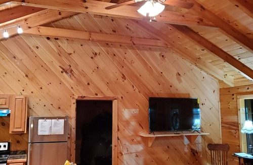 Winona Cabine | Charming ranch style log cabin with AC in scenic Winona
