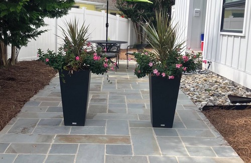 South Rehoboth Appartement | Charming Room in Downtown Rehoboth Beach