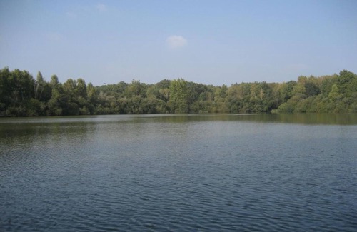 Saint-Viatre Cottage | Maison solognote avec étang privé, barque, pêche gratuite et vélos inclus, proche Saint-Viâtre