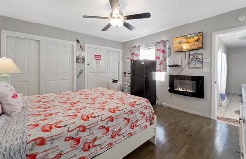 United Central Appartement | Charming studio in with shared Pool & backyard in sereneSt. Pete with WiFi, AC