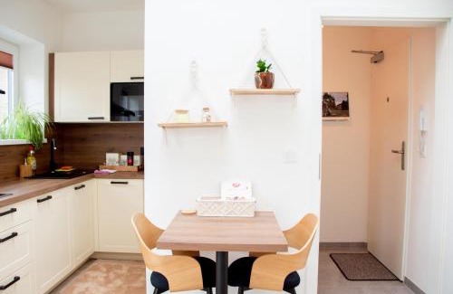 Tuchomerice Appartement | Charming studio near Prague Airport