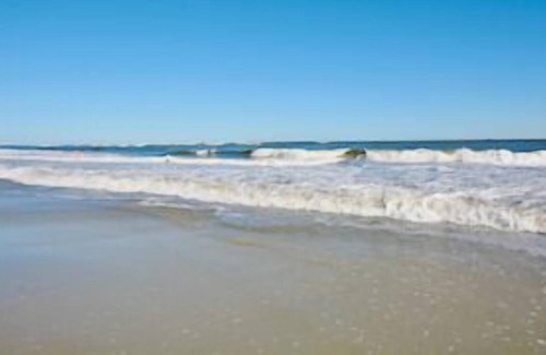 Sullivan's Island Appartement | Charming Sullivans Island Bungalow
