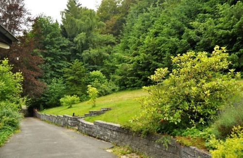 Brilon-Wald Villa | Villa de Charme On The Edge Forêt Dans Brilon Wald (12 Pers.) (200+ SQM)