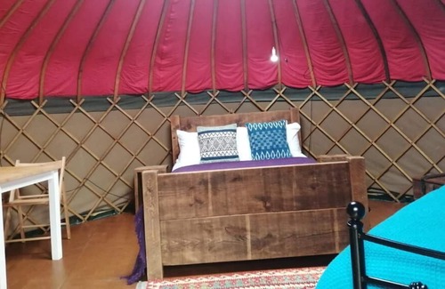 Largs Cabine | Charming Yurt in Kelburn Estate near Largs