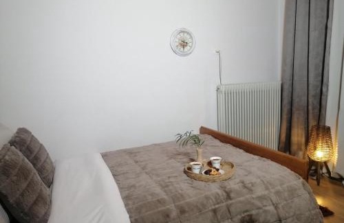 Pavliani Appartement | Charoula Pavliani Fthiotidas