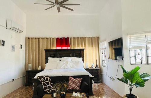 Albion Maison | Chasucourt