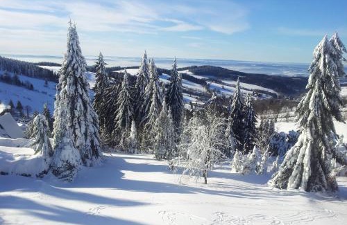 Cenkovice Chalet De Ski | Chata Čenkovice