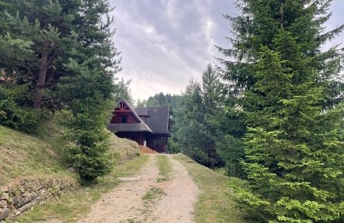 Litmanova Chalet De Ski | Chata Čučoriedka Litmanová