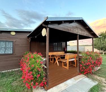 Novy Prerov Appartement | Chata 1