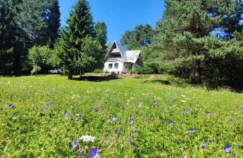 Smizany Chalet De Ski | Chata Bosorečka