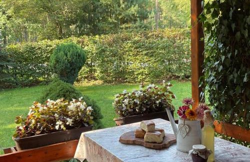 Hamr na Jezere Maison | Chata Hameračka