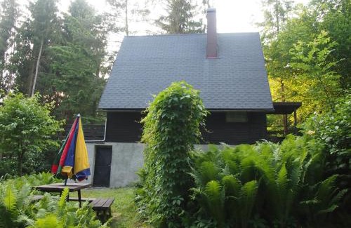 Cesky Dub Chalet De Ski | chata Milena