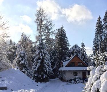 Myto pod Dumbierom Chalet De Ski | Chata Mlynná