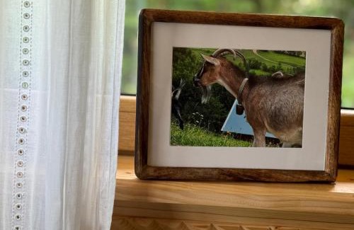 Ochotnica Dolna Maison | Chata na Wzgórzu