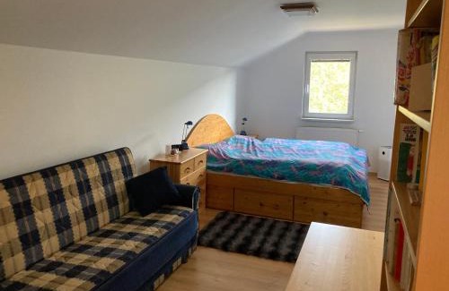 Pastviny Chalet De Ski | Chata Pastviny, Vlčkovice