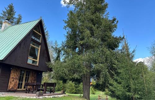 Pribylina Chalet De Ski | Chata pod zeleným stromom