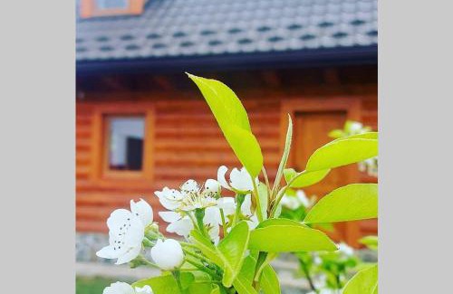 Osturna Maison | Chata vo dvore