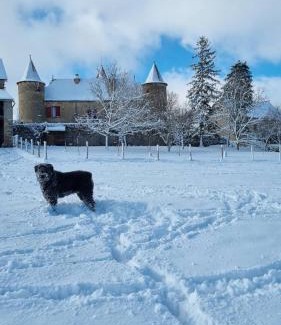 Quins Lit Et Petit-Déjeuner | Chateau de Cadars