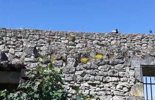 Chemery Lit Et Petit-Déjeuner | Chateau de Chémery