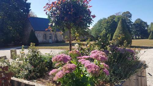 Saint-Pierre-des-Nids Maison | Chateau du Plessis Bochard