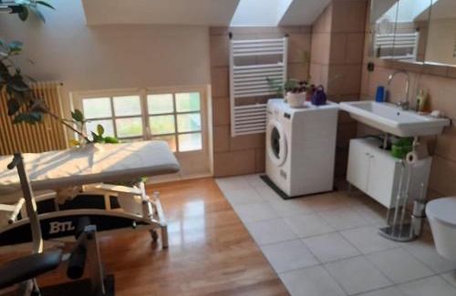 Pravice Maison | Chateau Probitz - apartmá na panském dvoře