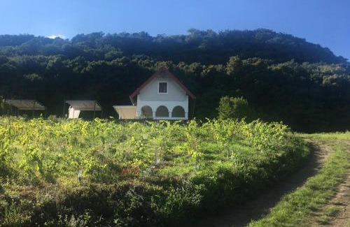 Gyulakeszi Appartement | Chateau Segesdi BorApartman