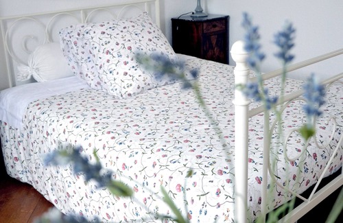 Roanne Maison | Château avec hébergements pour 15 personnes pour Noel et Nouvel