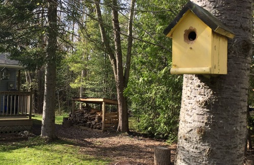 Saugeen Shores Cottage | Cheerful 3-bedroom cottage Port Elgen
