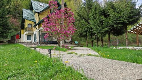 Bradetu Maison | Cheile Valsanului